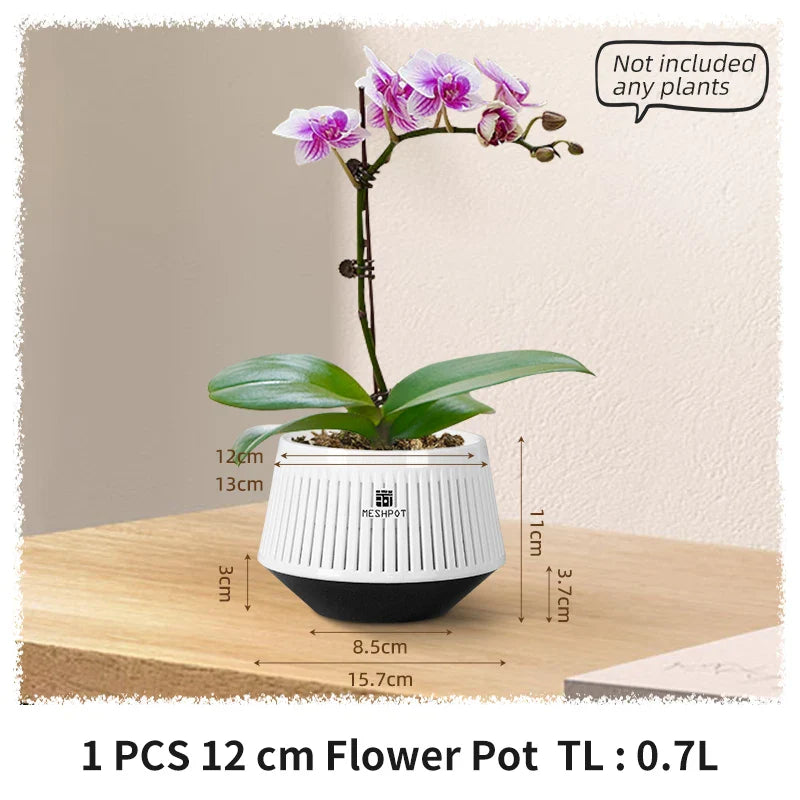 Orchidea Pro | Spezieller Orchideentopf | Optimale Belüftung & Drainage | Wetterfestes Material