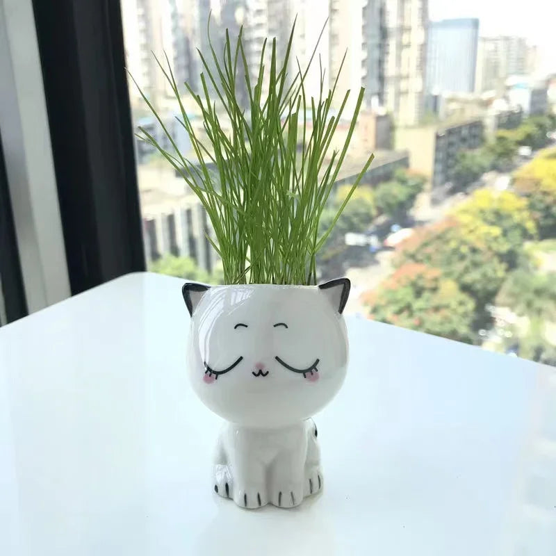 PurrPlant Mini-Keramiktopf | Niedliches Katzendesign | Für Schreibtisch & Deko