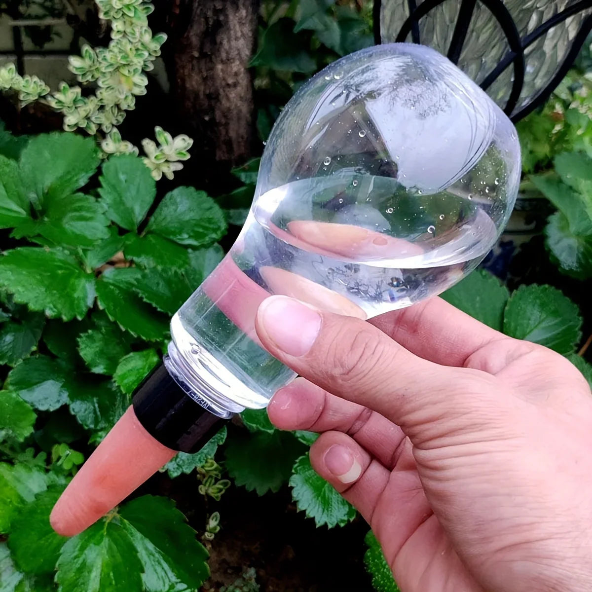 HydroBloom AquaDrop | Pflanzbewässerung | Automatisch & Transparent | Für Balkon & Zimmerpflanzen