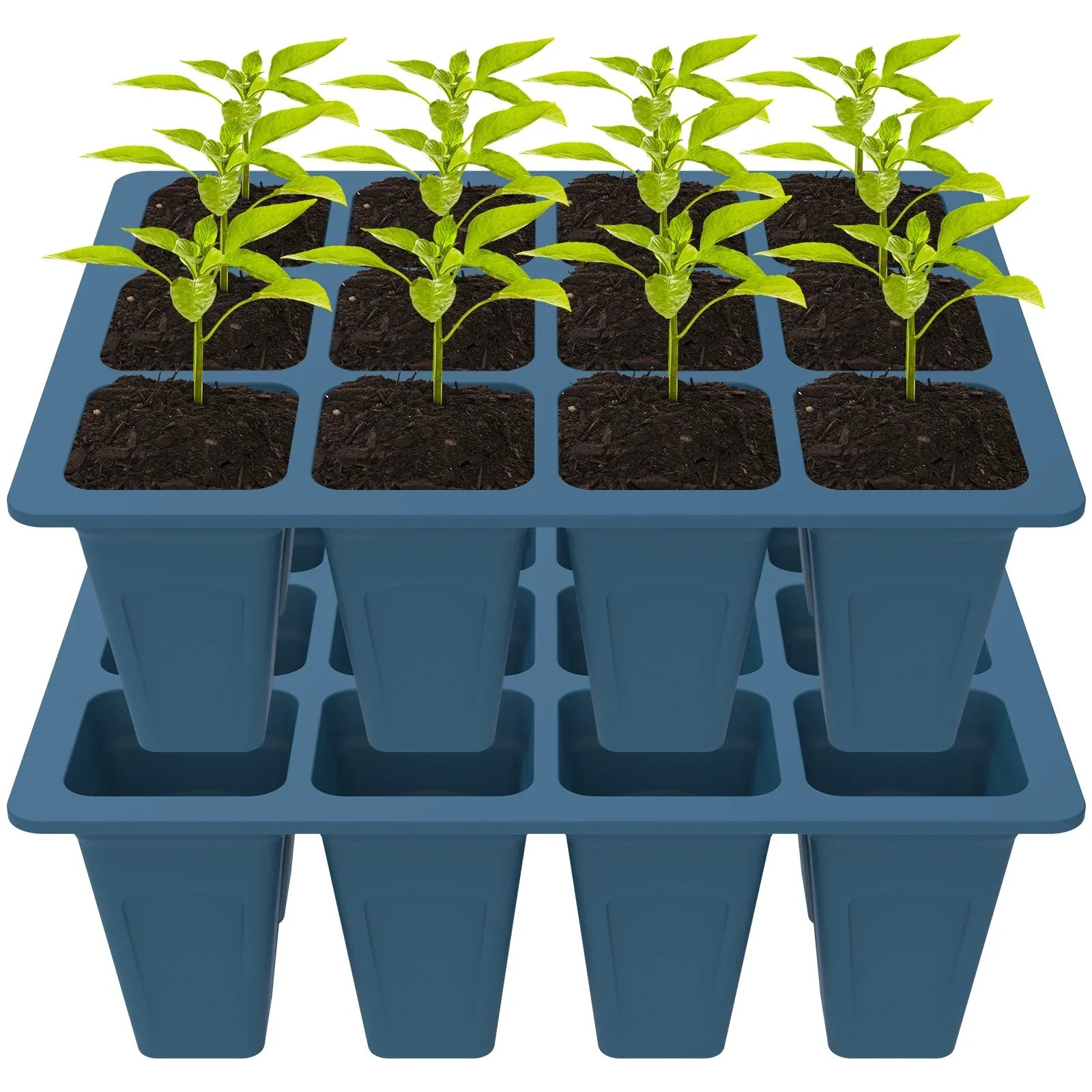 RootFlex Anzuchtplatte | 100 % Silikon | Wiederverwendbar & Wetterfest | Für Kräuter, Gemüse & Blumen