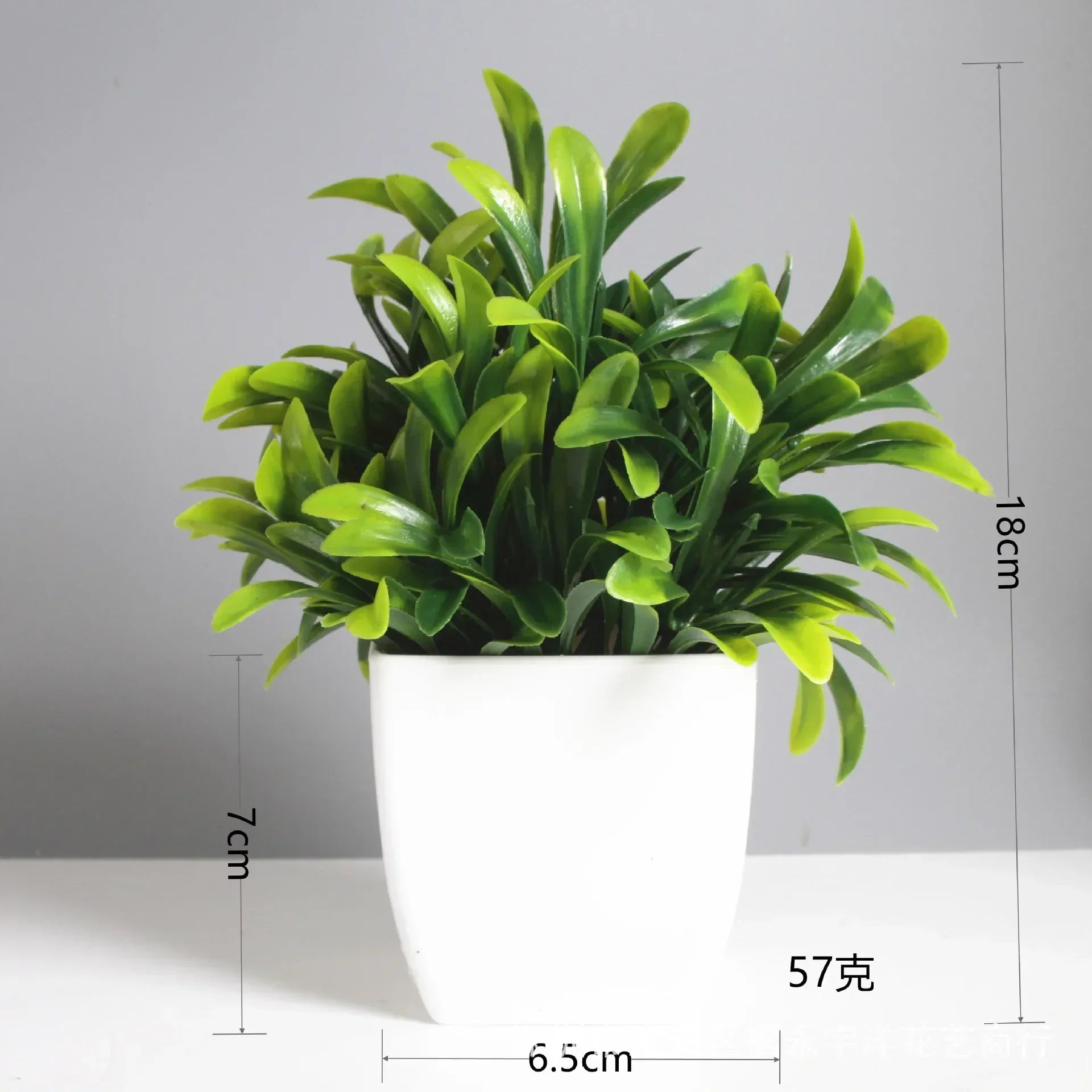 Everleaf Bonsai | Eukalyptus Design | Pflegeleicht & Langlebig | Dekorativ