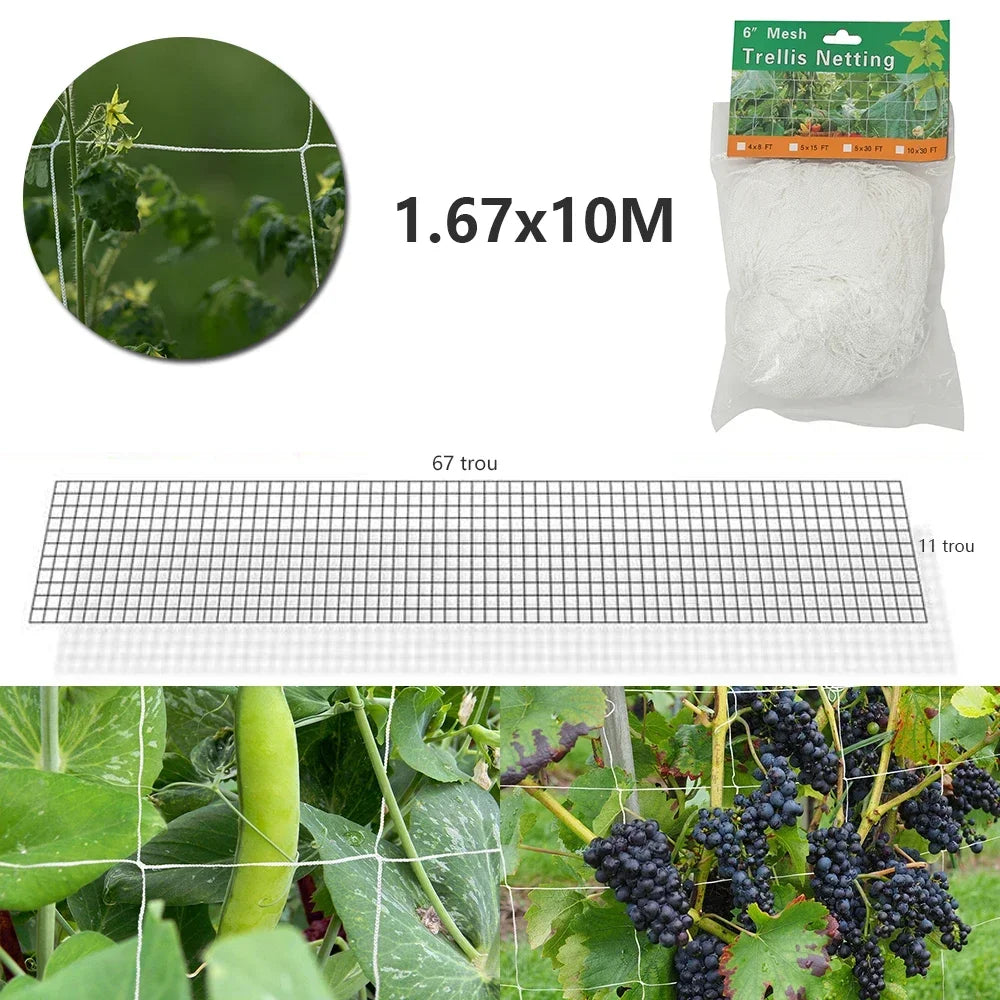 GrowMax Kletternetz | Platzsparende Rankhilfe für Pflanzen | UV-beständig und robust