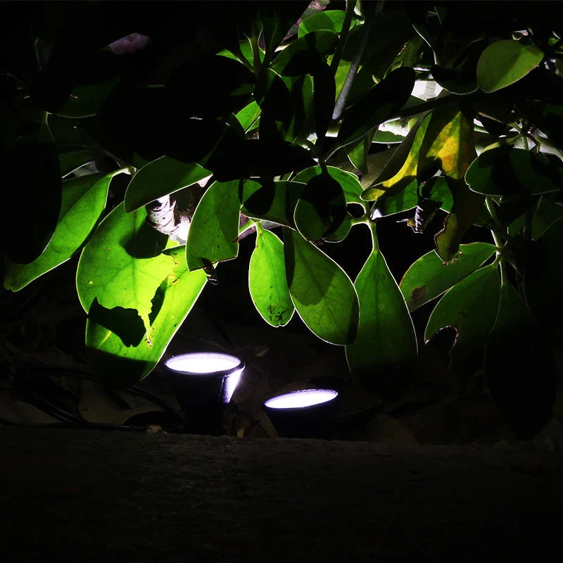 LumiGlow | Solar LED Erdspießleuchte | RGB Farbwechsel | 10er Set für Garten & Terrasse
