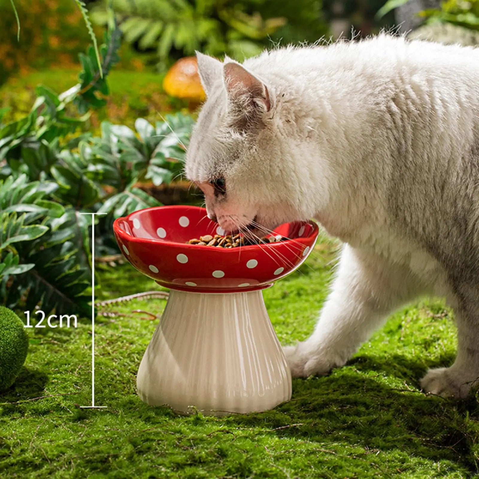 PawMush | Keramik-Katzennapf | Erhöht, ergonomisch & schnurrhaarfreundlich | Futter & Wasser