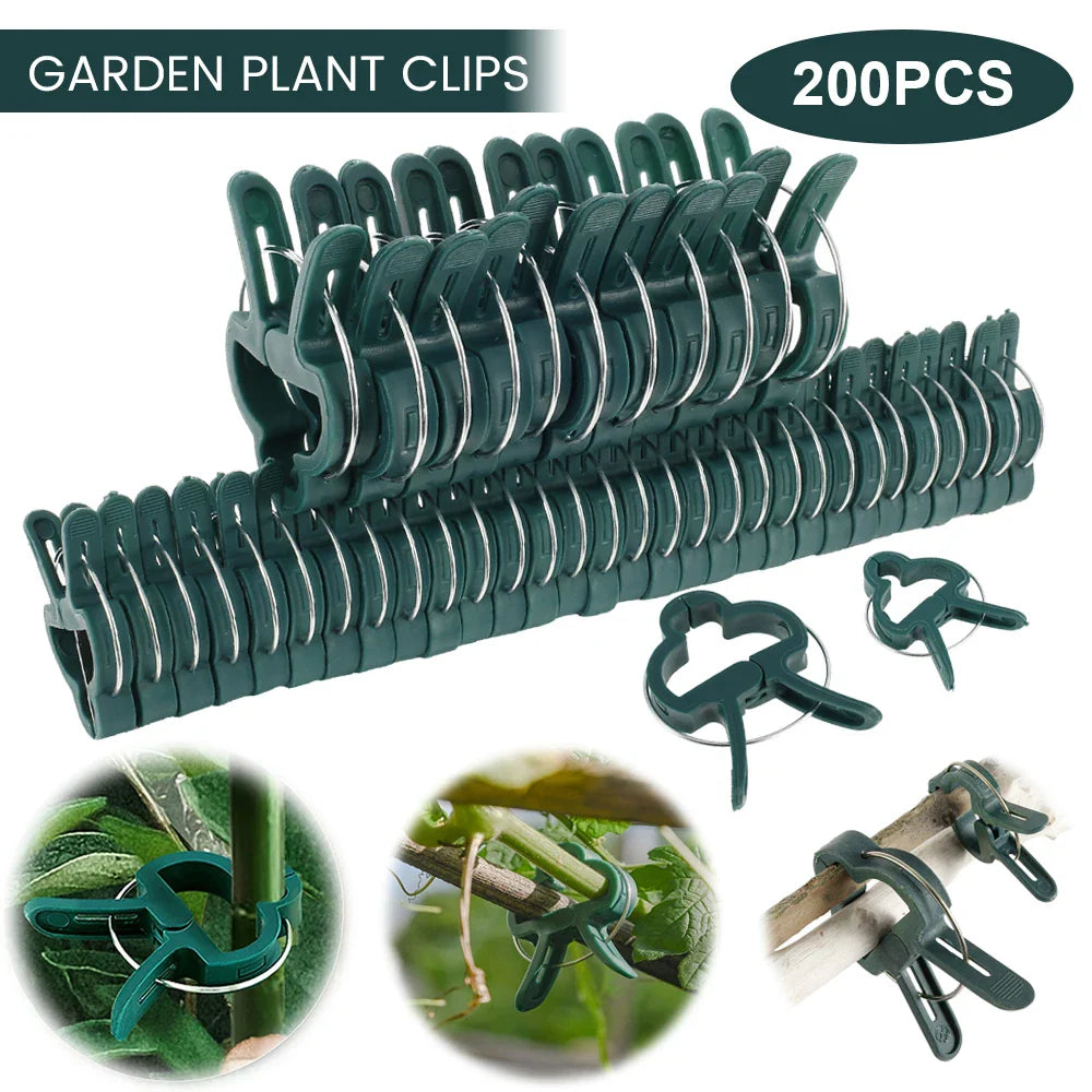 Floraclip Pflanzenclips | Wiederverwendbar & Wetterfest | Für Tomaten & Kletterpflanzen | 50er Set