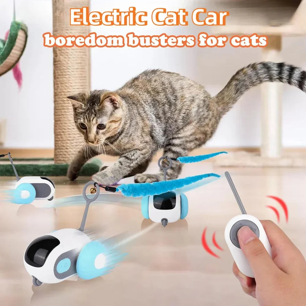 CatRacer | Interaktives Katzenspielzeug Auto | Automatik- & Fernsteuerung, Hinderniserkennung & USB-Akku | Für Spiel, Bewegung & Anti-Langeweile