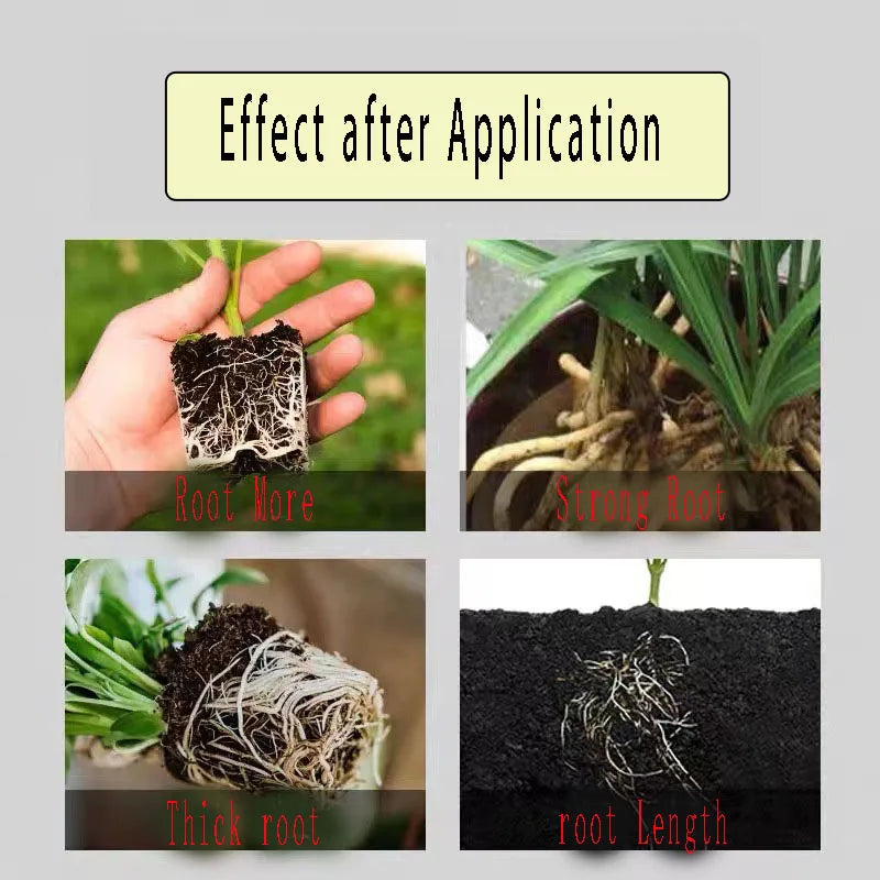 PlantBoost Long-Term Fertilizer | Optimal NPK Formula | For Healthy Plant Growth & Vibrant Blooms