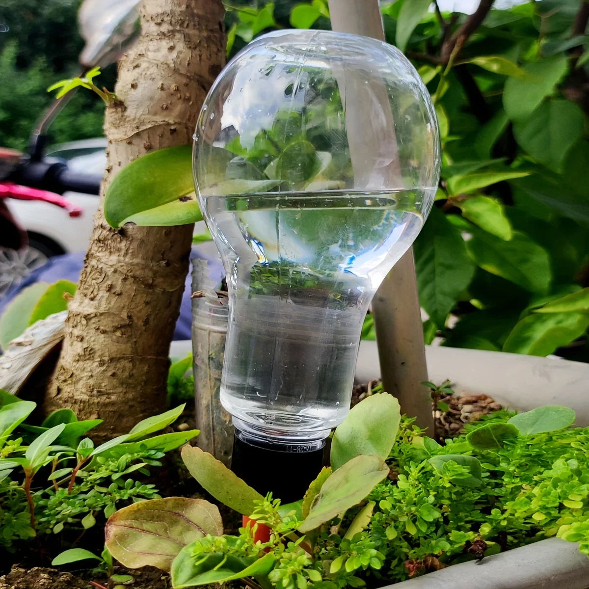 HydroBloom AquaDrop | Pflanzbewässerung | Automatisch & Transparent | Für Balkon & Zimmerpflanzen