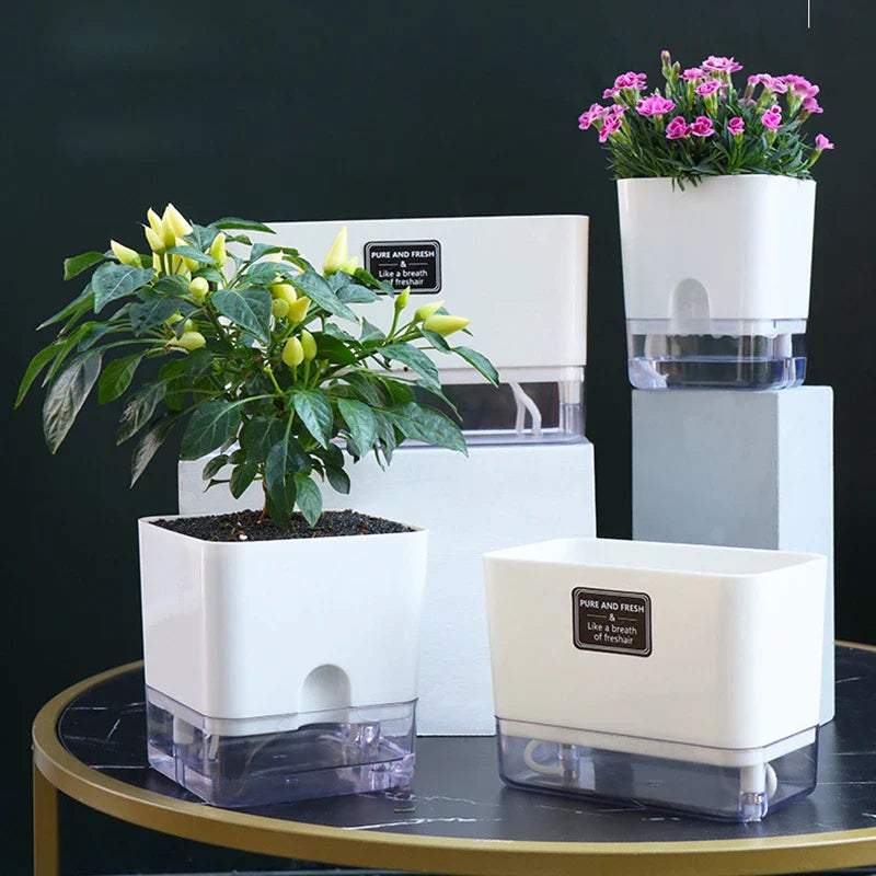 HydroLino Blumentopf | Selbstbewässerung | Kompakt & Transparent | Für Innenräume