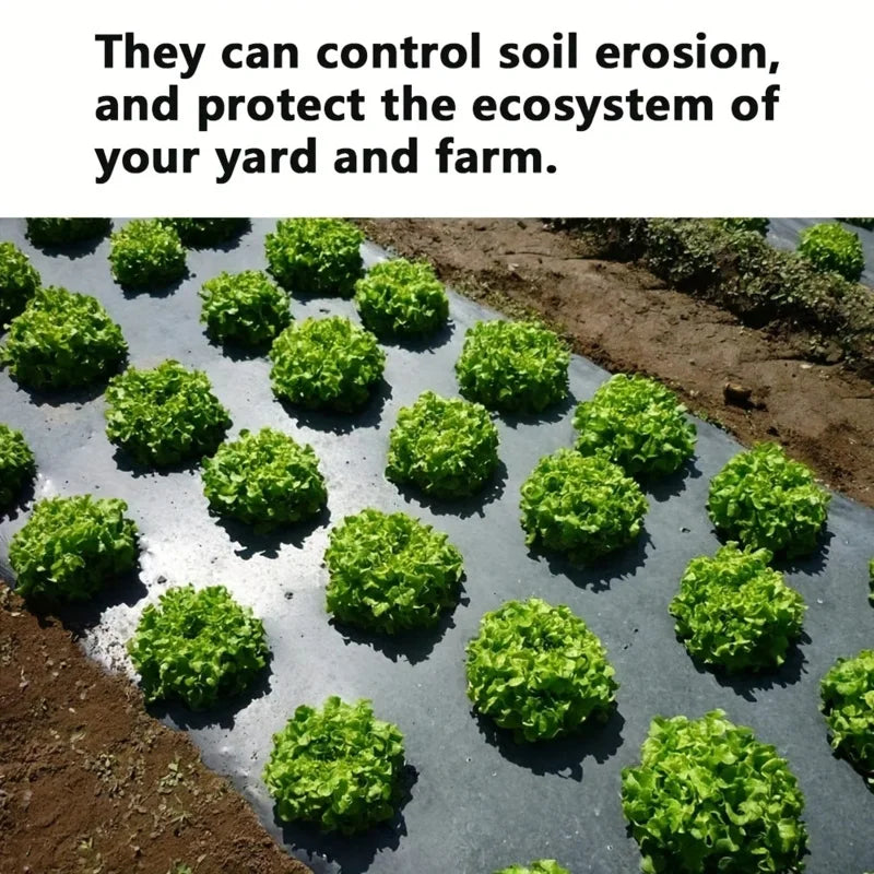 EcoGrow | Mulchfolie | Unkrautschutz | Langlebig