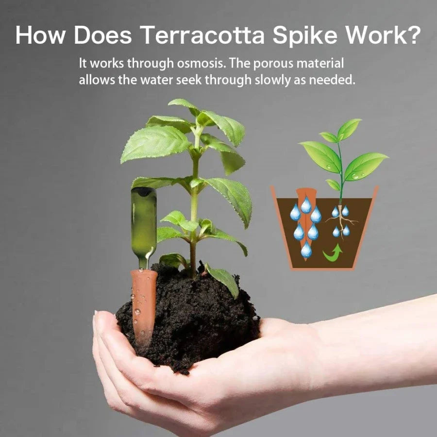PlanturaFlow | Selbstbewässerungsspikes | Terrakotta, konstante Feuchtigkeitsabgabe & einfache Anwendung | Pflanzenpflege drinnen & draußen