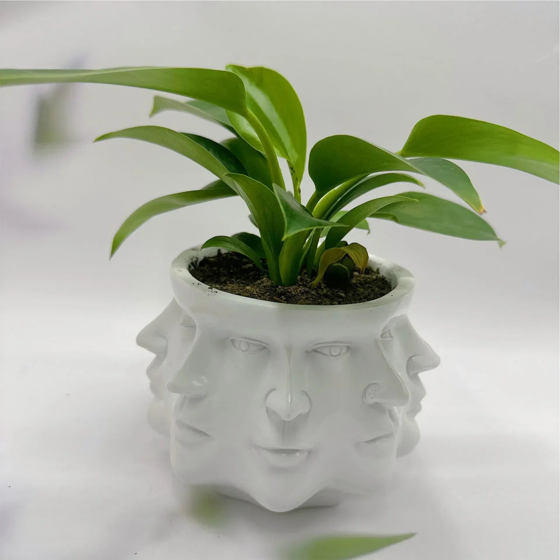 Faceflora 3D Blumentopf | Stilvolles Pflanzgefäß in Skulptur-Optik | Modern & Ausdrucksstark | Für Zimmerpflanzen & Deko