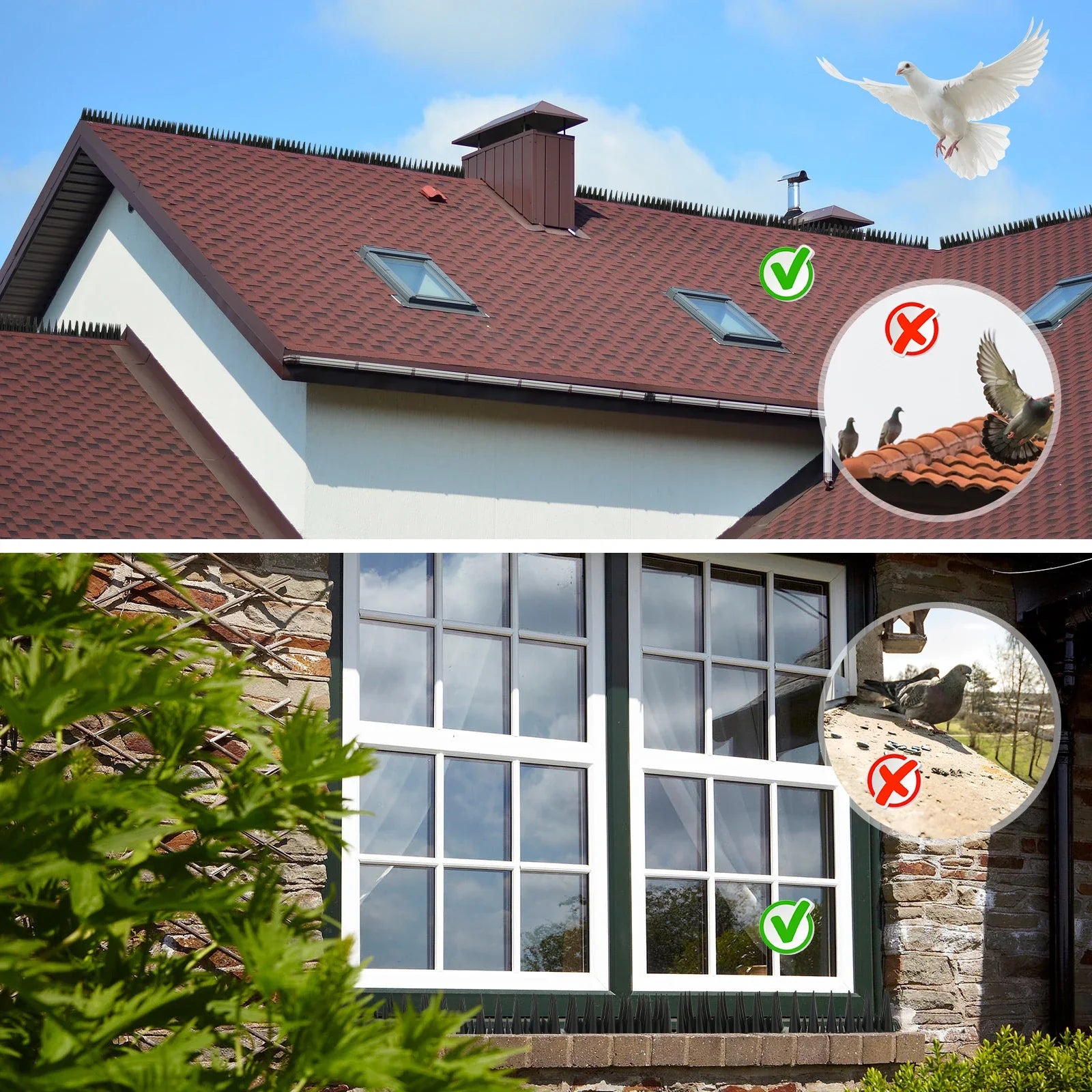 BirdGuard Spikes | Humane Bird Repellent | Flexible and Adjustable | Safe for All Birds