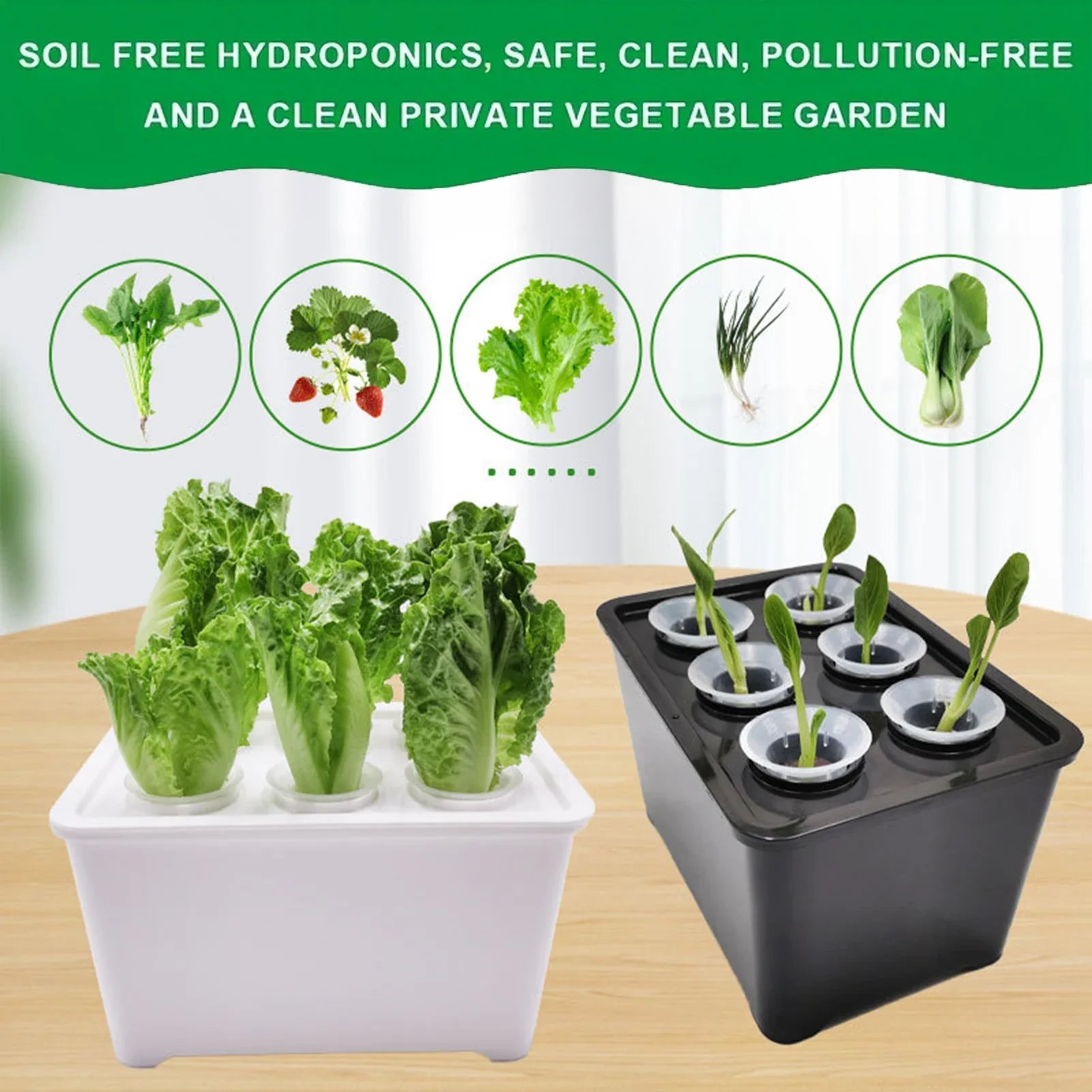 Hydroverde Indoor-Grow-Set | Hydroponisches Anzuchtsystem | Selbstbewässernd | Für Kräuter & Stecklinge