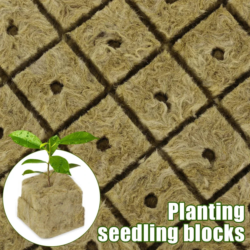 GreenCube | Anzuchtwürfel für Hydroponik | Optimal für Pflanzenwachstum | 50 bis 500 Stück