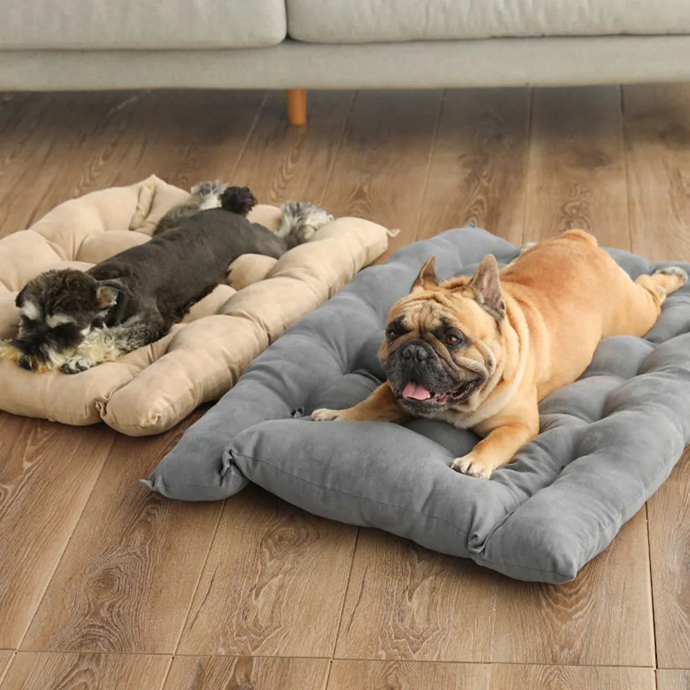 WarmDog 3-in-1 Bett – Wärme, Geborgenheit & Freude für dein Tier!