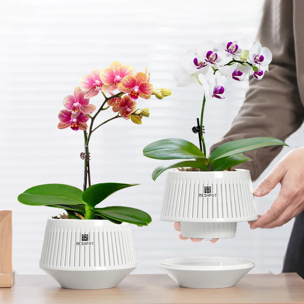 Florapure Orchideentopf | Atmungsaktiv & UV-Beständig | Für Innen & Außen | 12 cm
