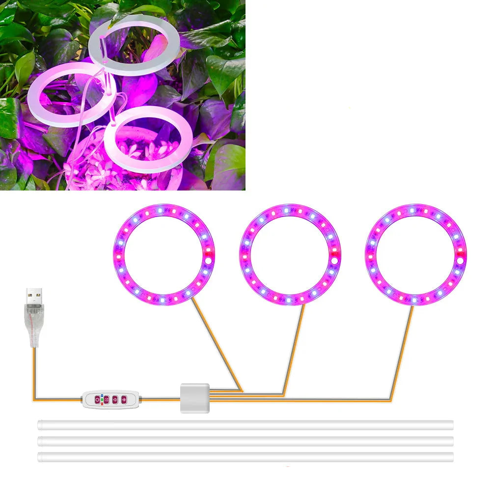 Plantuno Ring Pflanzenlampe | LED Grow Light mit Timer | USB | Dimmbar & 3 Lichtfarben | 1–4 Köpfe