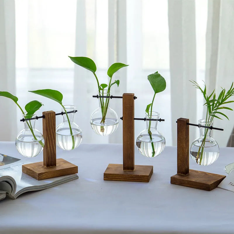 Vasoya Glasvasen | 3er-Set mit Holzrahmen | Skandinavisch & Vielseitig | Für Blumen & Hydrokultur