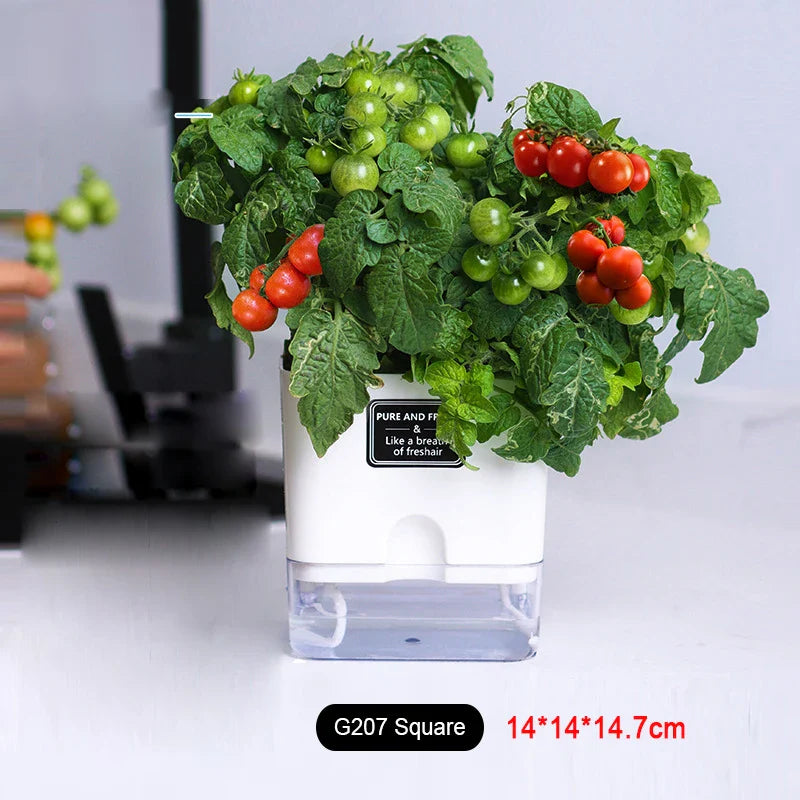 HydroLino Blumentopf | Selbstbewässerung | Kompakt & Transparent | Für Innenräume