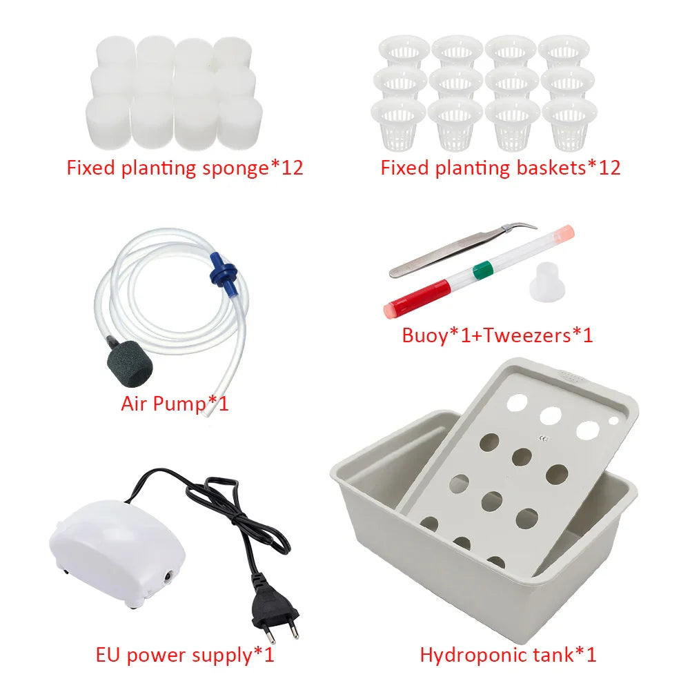 HydroGreen 12 | Hydroponisches Pflanzsystem | Effizient & Kompakt | Robuster Kunststoff