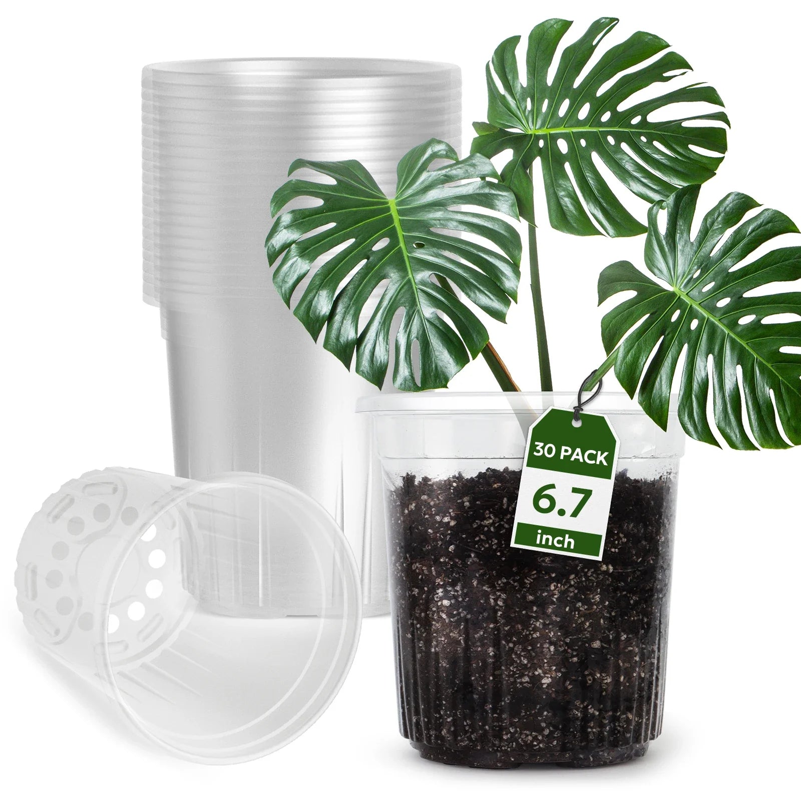 ClearRoot Pots | Transparente Pflanztöpfe | Mit Drainage | Für Anzucht & Zimmerpflanzen