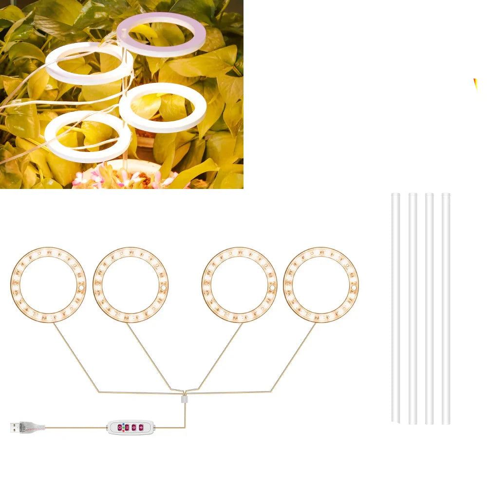 Plantuno Ring Pflanzenlampe | LED Grow Light mit Timer | USB | Dimmbar & 3 Lichtfarben | 1–4 Köpfe