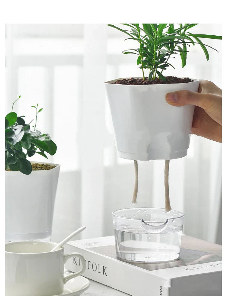 Plantilo Selbstbewässernder Blumentopf | Transparent | Automatische Wasserzufuhr | Für Zimmerpflanzen