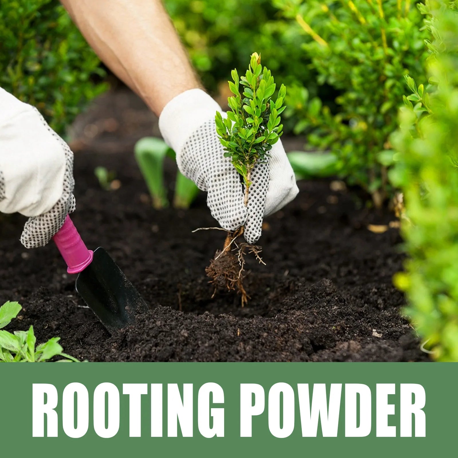 RootForce Bio | Organisches Wurzelpulver | Schnelles Wurzelwachstum | Für Alle Pflanzenarten