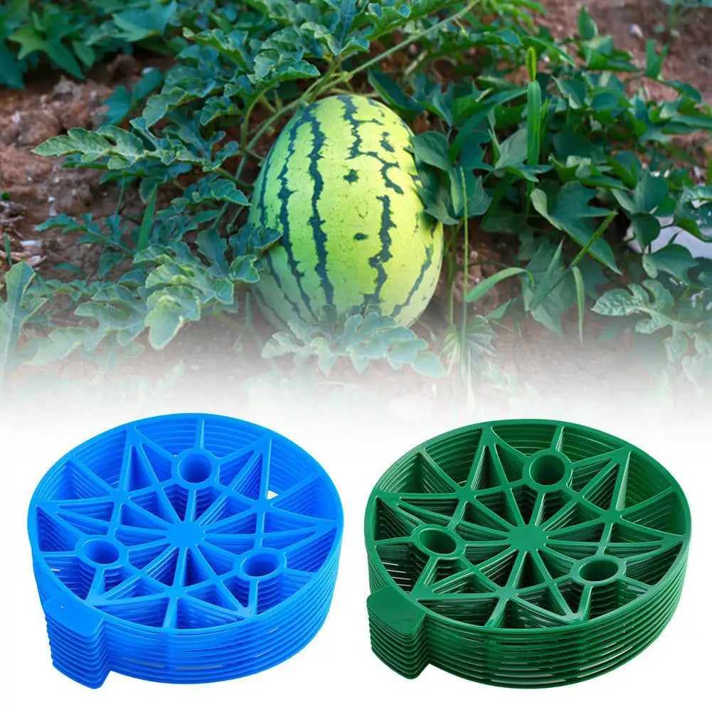 MelonGuard | Fruchthalter | Schutz vor Fäulnis & Feuchtigkeit | Wiederverwendbar & Stabil