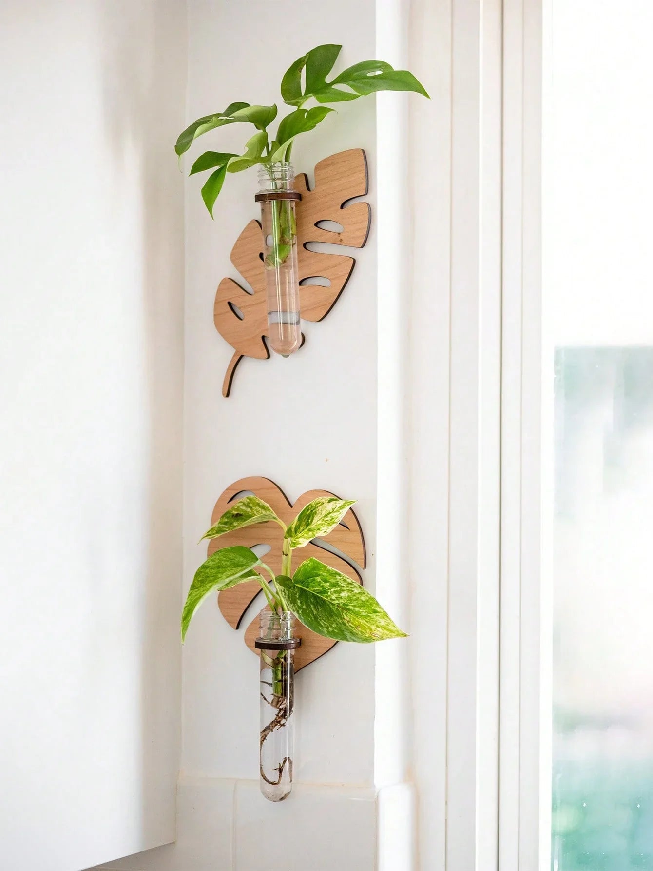 LeafCraft Wandvasen | Dekorative Pflanzenhalter | Handgefertigtes Holz & Reagenzglas