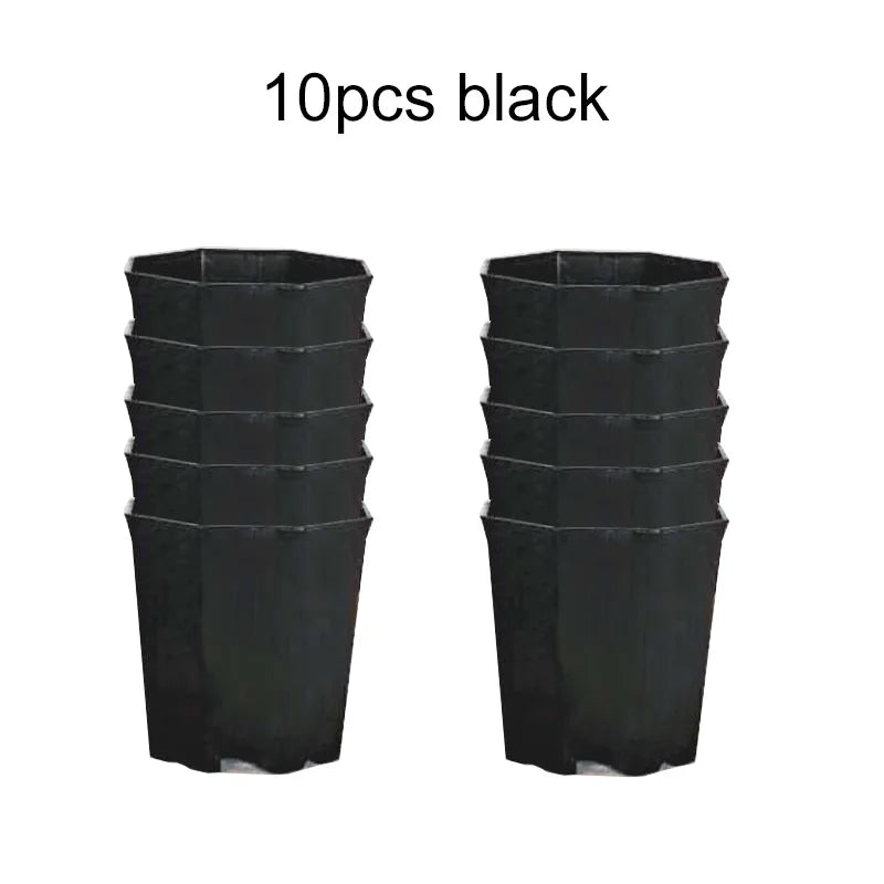 GeoPlant Octa Blumentopf-Set | 10er Set Achteckig | Schwarz-Weiß Minimalismus | Für Kakteen & Sukkulenten | 8 cm