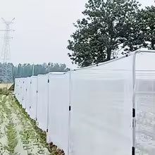 PlantGuard | Premium Schutznetz für Garten | Feinmaschig | Schützt vor Insekten & Vögeln