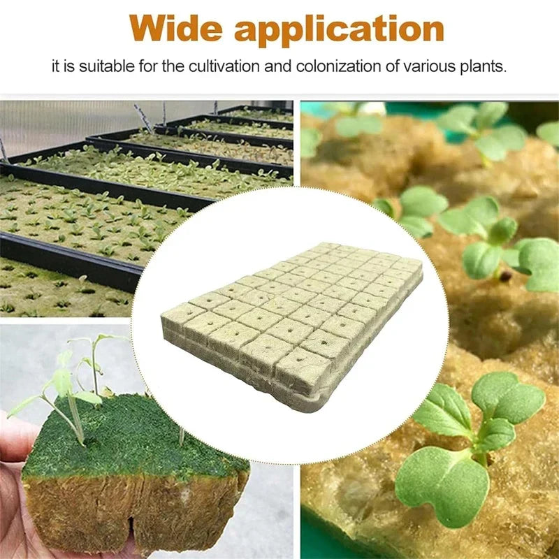 GreenCube | Anzuchtwürfel für Hydroponik | Optimal für Pflanzenwachstum | 50 bis 500 Stück