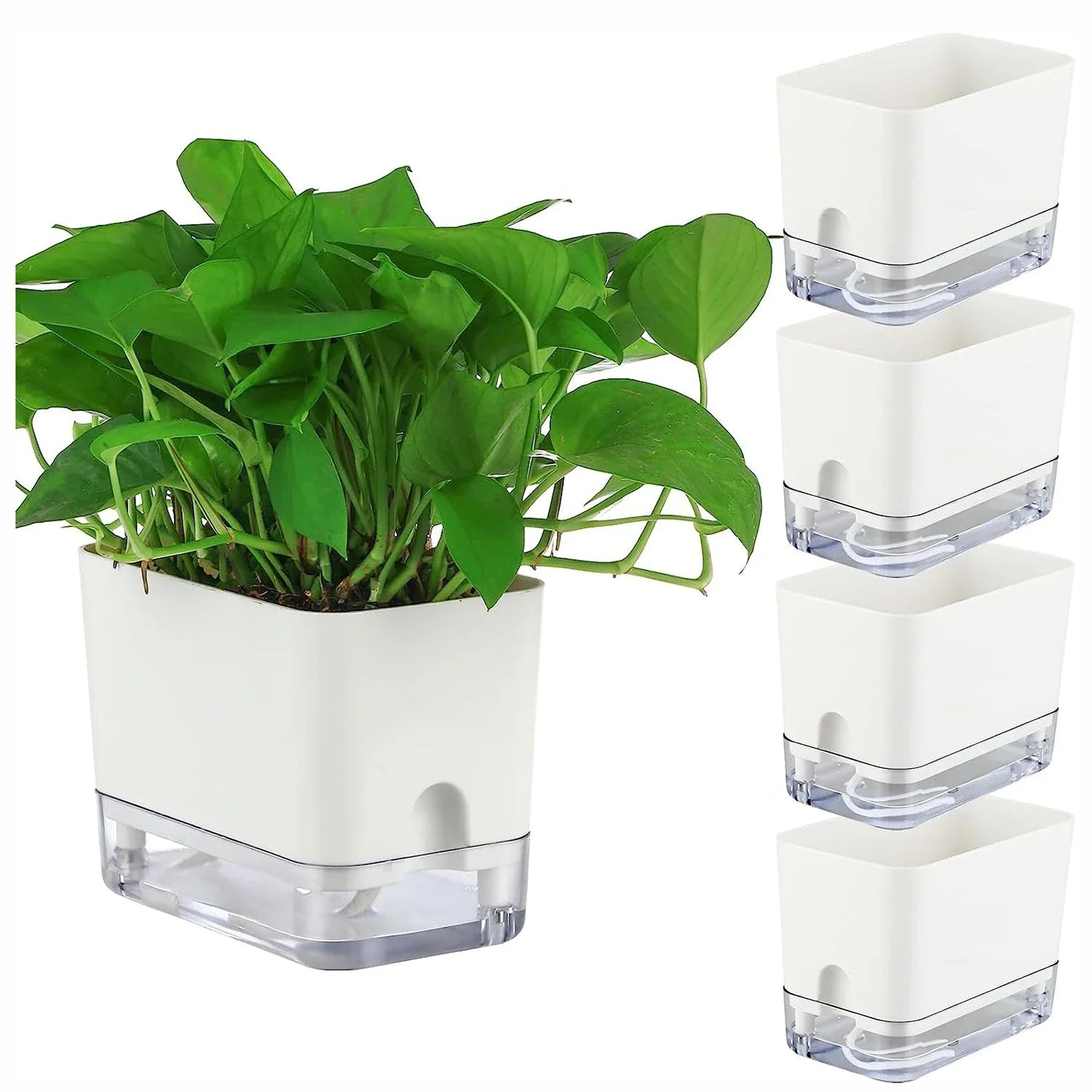 HydroLino Blumentopf | Selbstbewässerung | Kompakt & Transparent | Für Innenräume