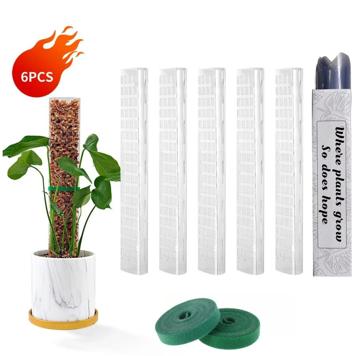 Vertilo Moosstab Set | Transparent & Wiederverwendbar | Für Monstera & Co. | 30–60 cm