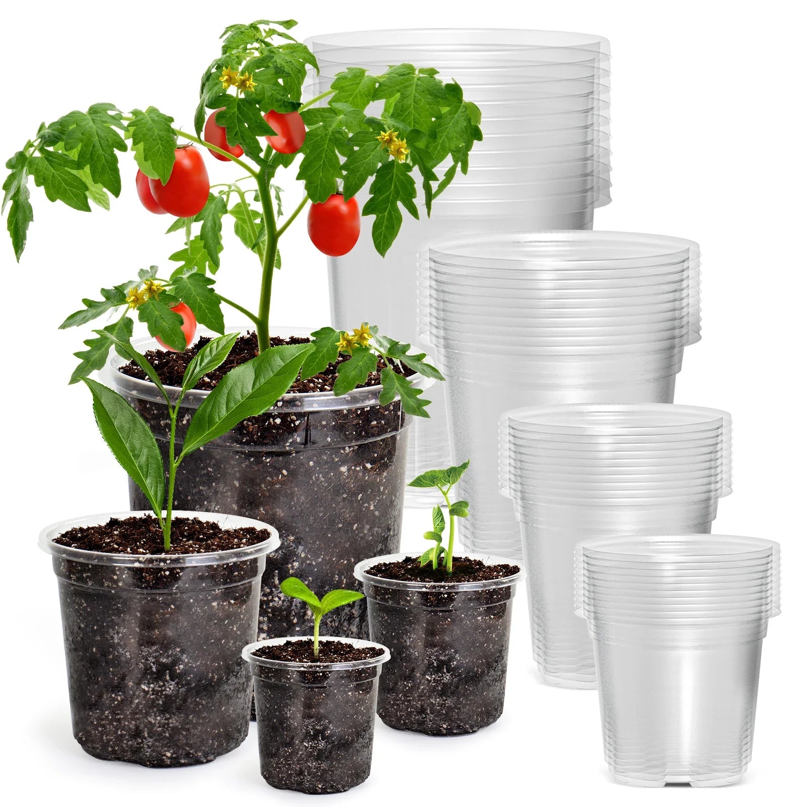 Rootiva Pflanztopf-Set | Transparent & Flexibel | 30-teilig | Für Anzucht & Umtopfen