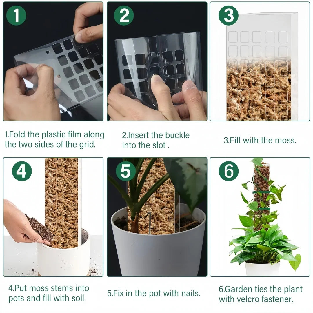 Vertilo Moosstab Set | Transparent & Wiederverwendbar | Für Monstera & Co. | 30–60 cm