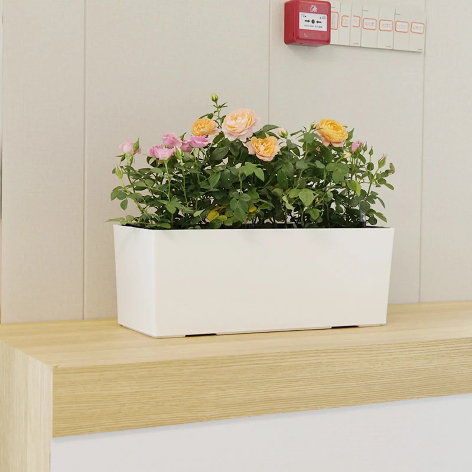 FloraSensi SmartPot | Blumentopf mit Wasserstandsanzeige | Selbstbewässernd | Für drinnen & draußen | 30 cm Weiß