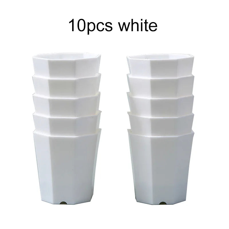 GeoPlant Octa Blumentopf-Set | 10er Set Achteckig | Schwarz-Weiß Minimalismus | Für Kakteen & Sukkulenten | 8 cm
