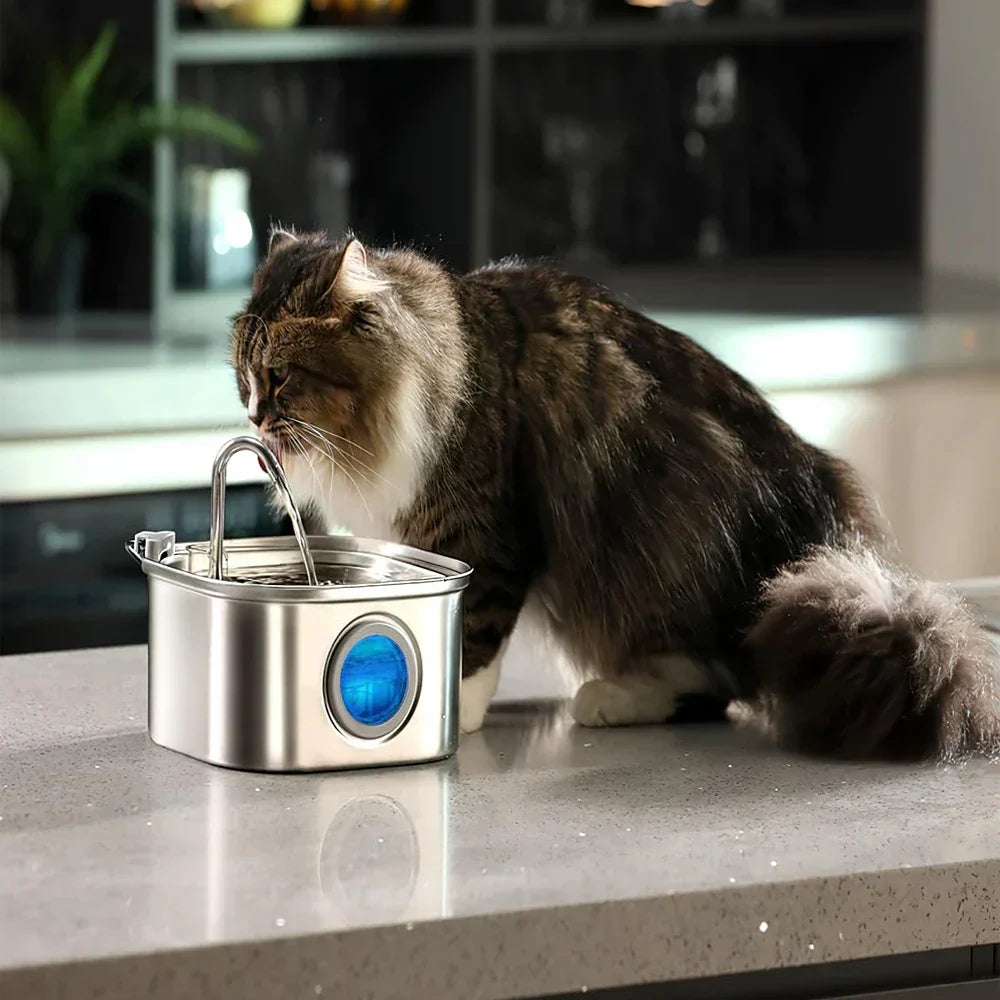 Aquaelix Trinkbrunnen Katze | Edelstahl & Hygienisch | Leise Pumpe | 2,5 L Volumen | Für Gesunde Hydration
