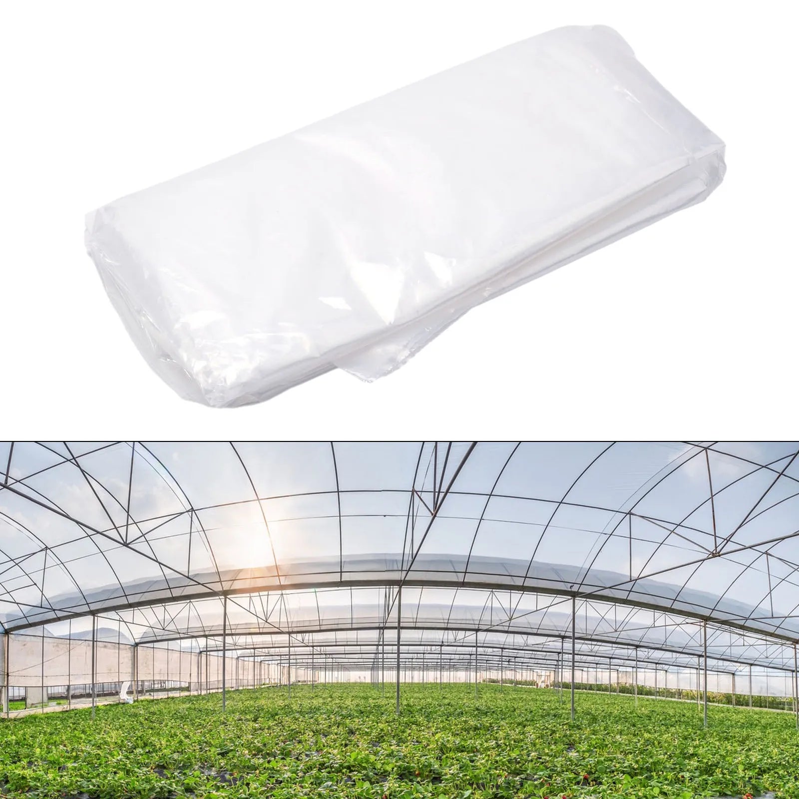 GrowFlex | Gewächshausfolie | UV-beständig & Wasserfest | Schutz für Pflanzen