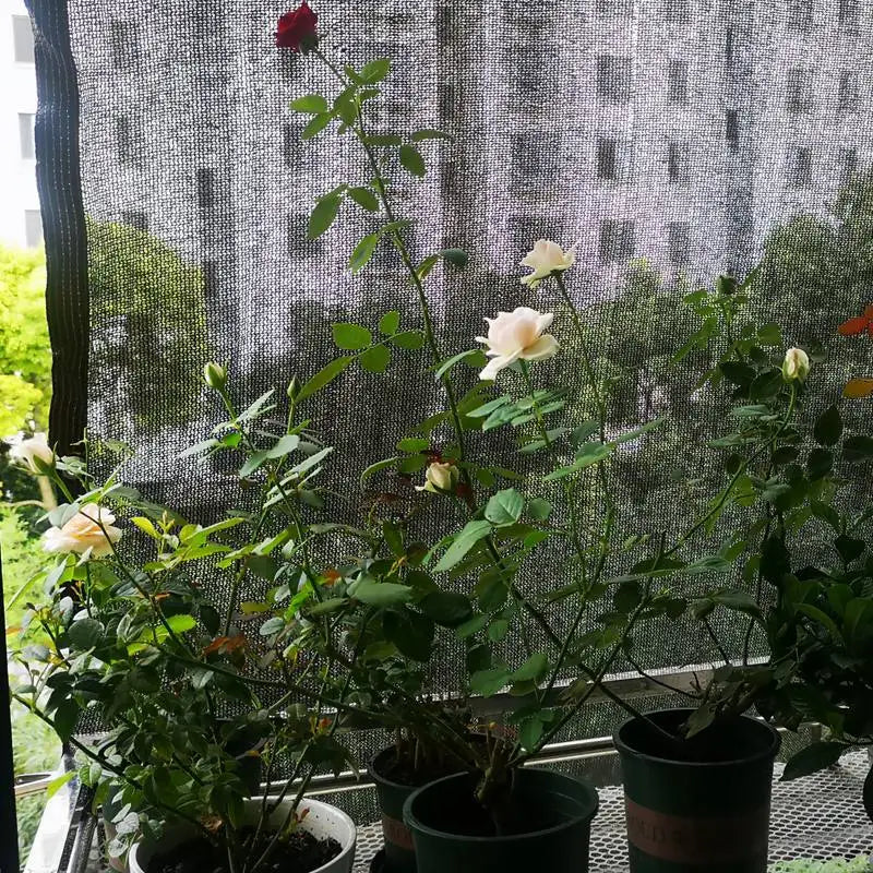 Solivara Schattierungsnetz | 70–80 % UV-Schutz | Luftdurchlässig & Wetterfest | Für Garten, Terrasse & Balkon