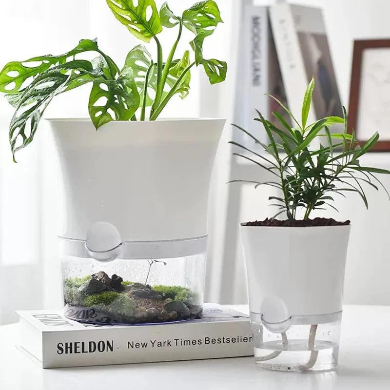 Plantilo Selbstbewässernder Blumentopf | Transparent | Automatische Wasserzufuhr | Für Zimmerpflanzen