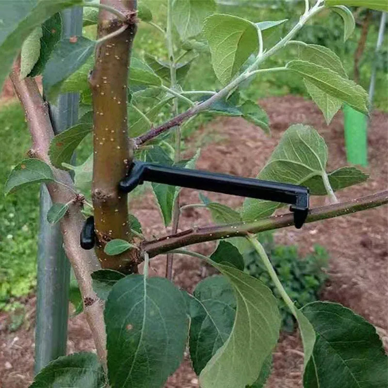 PlantFlex | Pflanzentrainer Clips | Für Wachstumsoptimierung | Wiederverwendbar & Flexibel