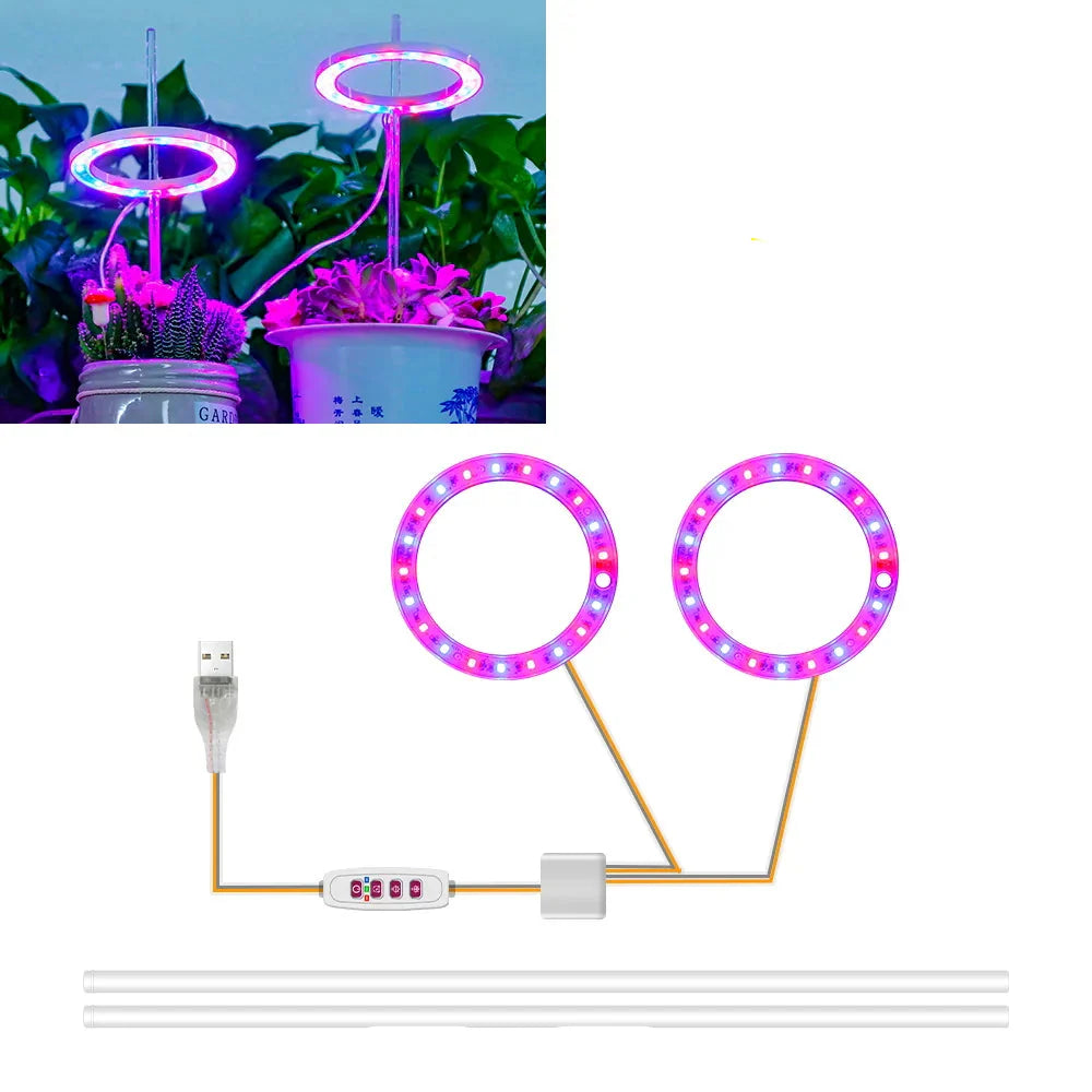 Plantuno Ring Pflanzenlampe | LED Grow Light mit Timer | USB | Dimmbar & 3 Lichtfarben | 1–4 Köpfe