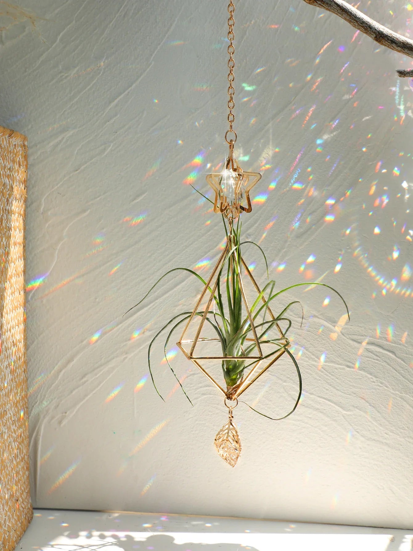 AerisGleam Airplant Hänger | Geometrische Boho-Deko | Mit Kristall & Goldrahmen | Für Tillandsien | Innen & Außen