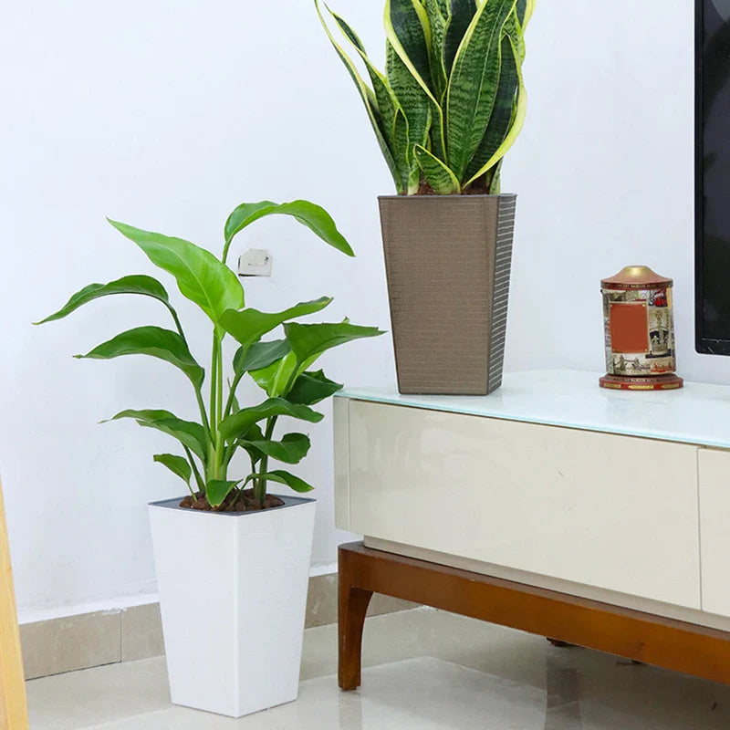 Bricksy Planter | Ziegelstein-Design Pflanzkasten | Selbstbewässernd mit Baumwollseil | Für Pflanzen & Deko | Modern & Langlebig