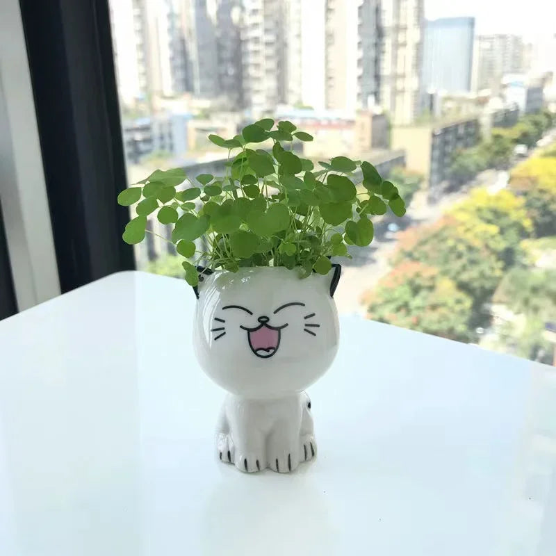 PurrPlant Mini-Keramiktopf | Niedliches Katzendesign | Für Schreibtisch & Deko