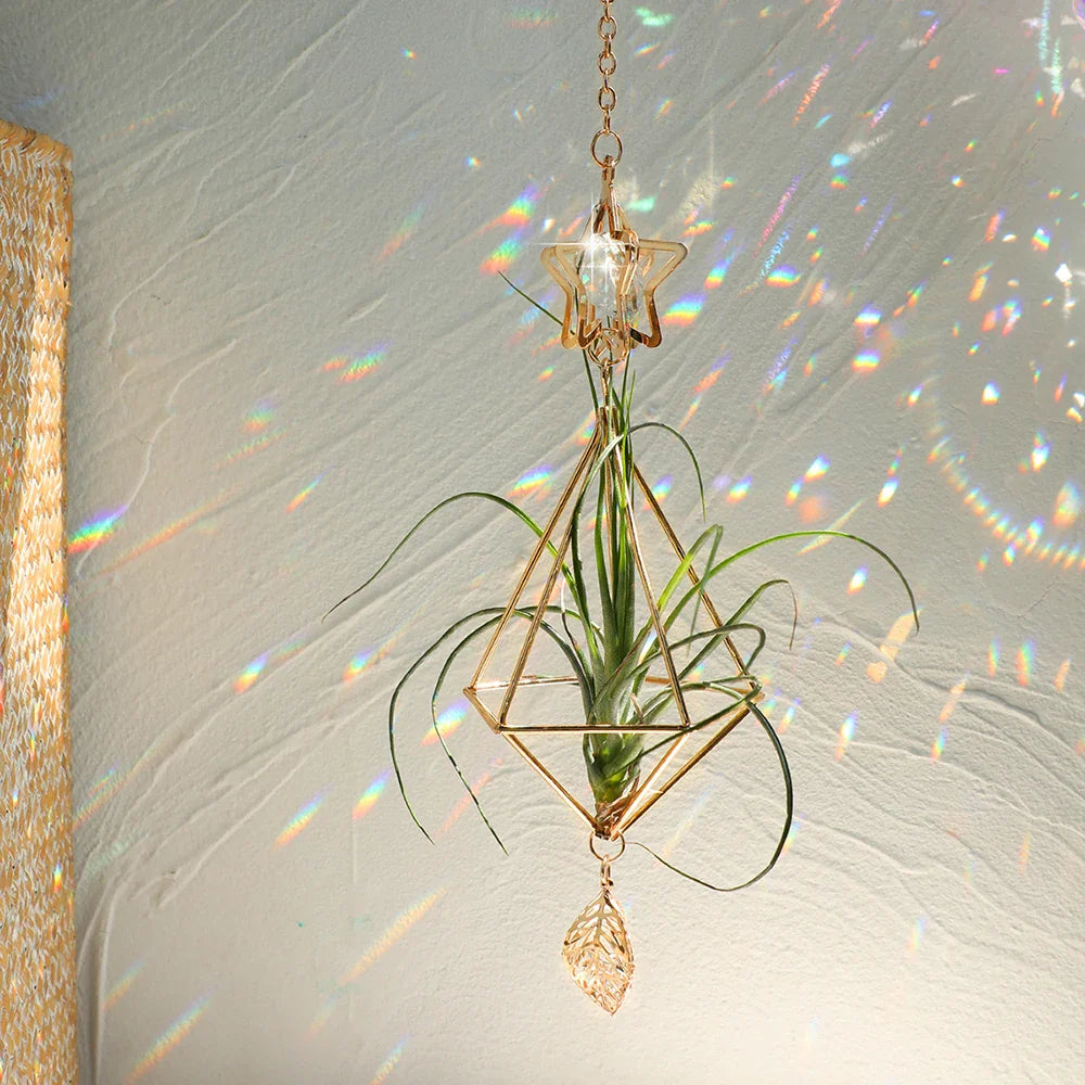 AerisGleam Airplant Hänger | Geometrische Boho-Deko | Mit Kristall & Goldrahmen | Für Tillandsien | Innen & Außen
